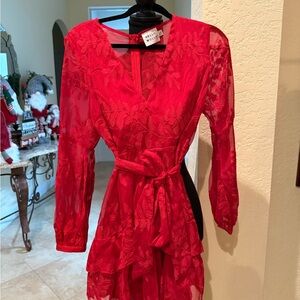 Hello Molly Vibrant Red Textured Dress